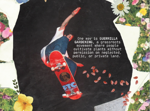 skate-plant.png