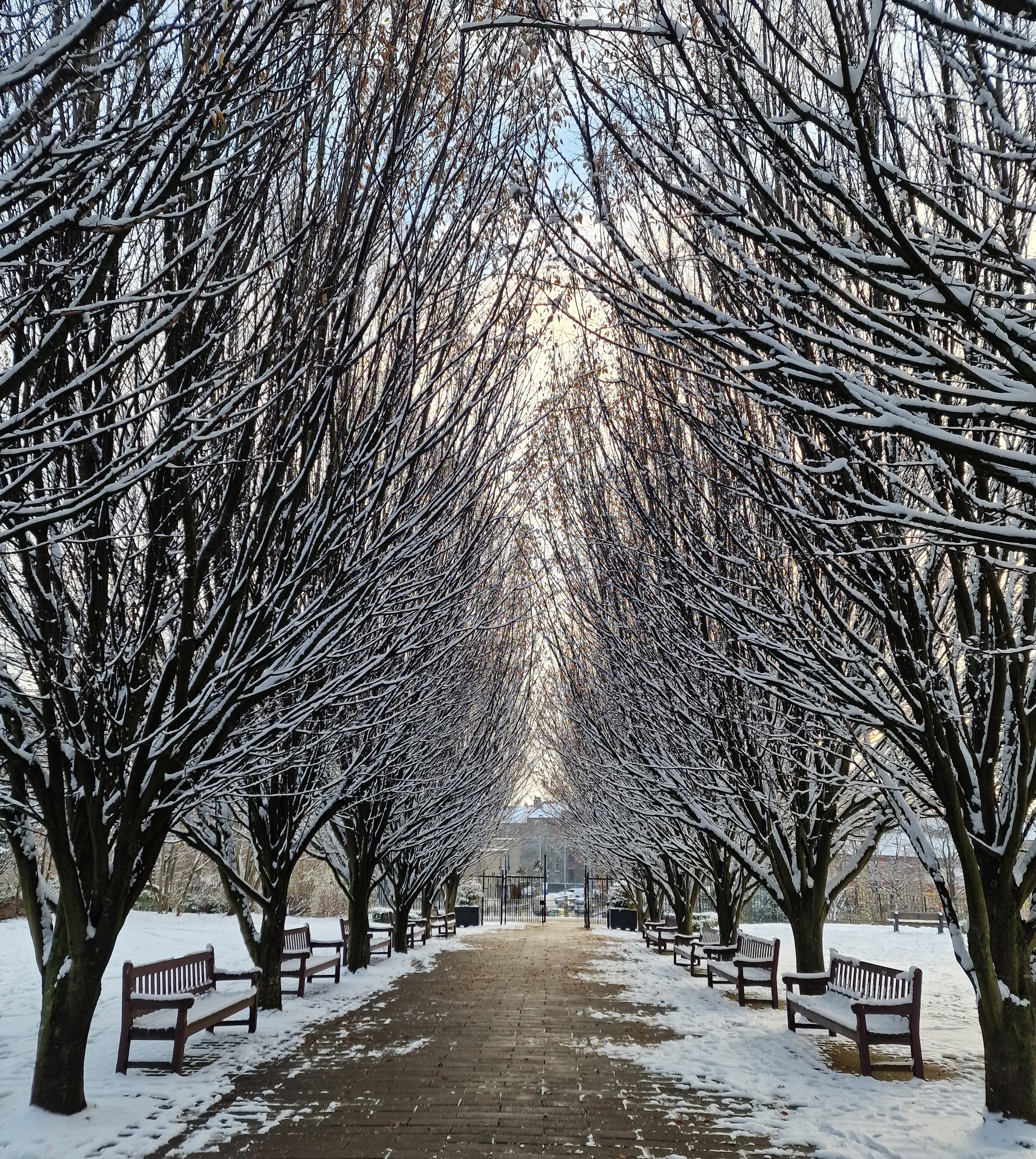 Outside Queens Park Botanic Gardens